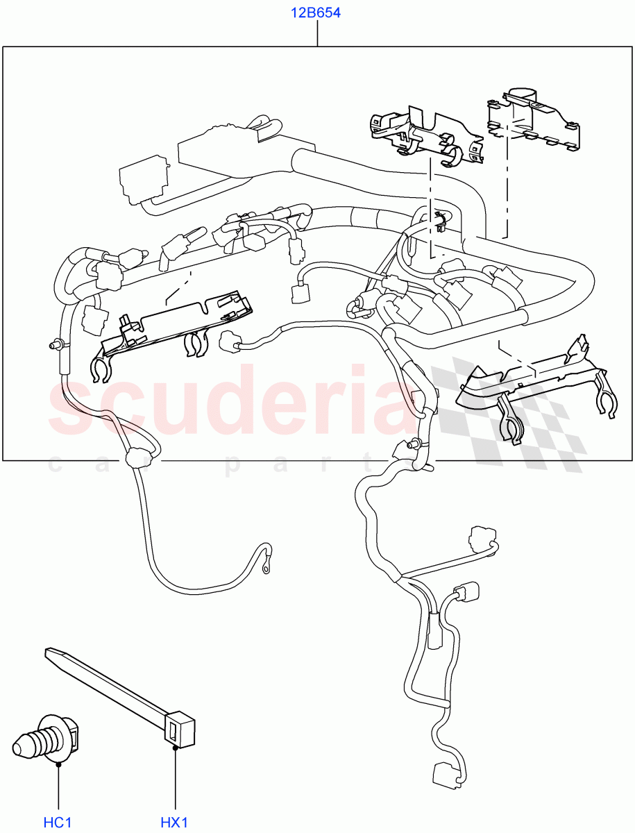 Wiring Clamps (Lion Diesel 2.7 V6 (140KW)) ((V) TO9A999999) of Land Rover Land Rover Range Rover Sport (2005-2009) [3.6 V8 32V DOHC EFI Diesel]