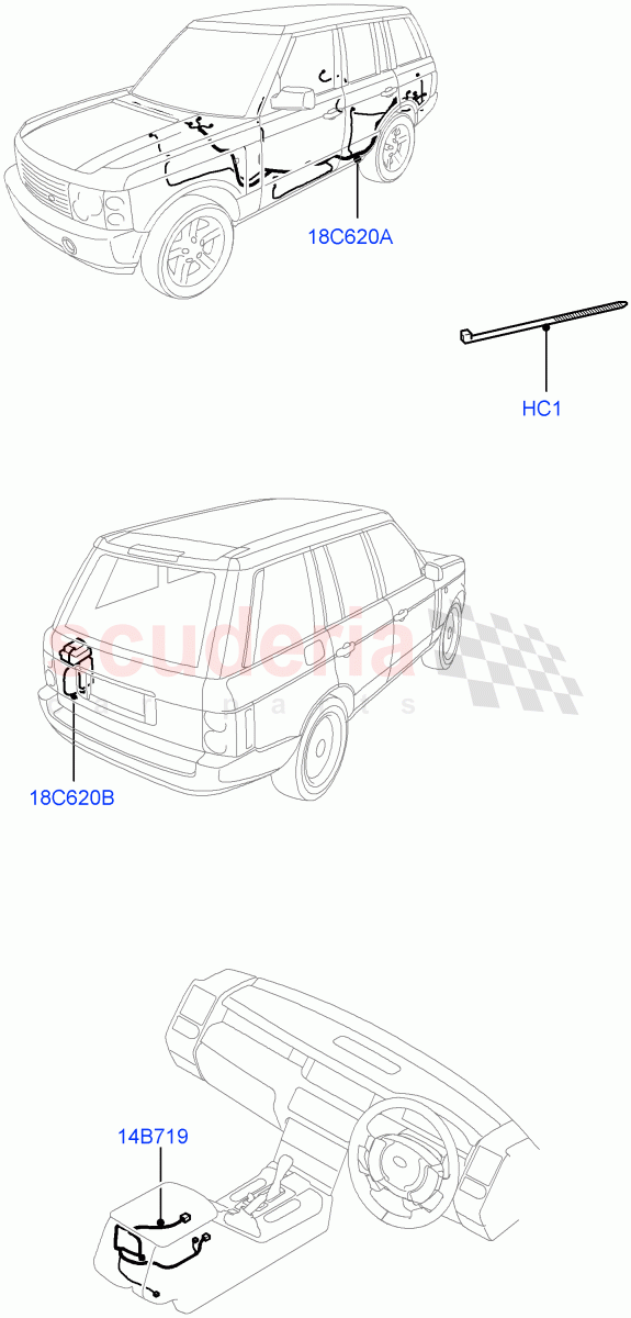 Electrical Wiring - Body And Rear (With Phone, Navigational System, With TV Antenna, Radio, Center Console) ((V) FROMAA000001) of Land Rover Land Rover Range Rover (2010-2012) [3.6 V8 32V DOHC EFI Diesel]