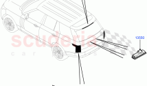 Rear Lamps