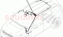 Electrical Wiring - Body And Rear (Roof) (Changsu (China)) ((V) FROMFG000001, (V) &hellip;
