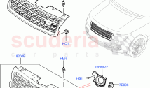 Radiator Grille And Front Bumper