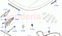 Hood And Related Parts (Changsu (China)) ((V) FROMFG000001, (V) TOKG446856)