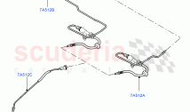 Clutch Master Cylinder (2.0L AJ20D4 Diesel Mid PTA, 6 Speed Manual Trans BG6, Hale&hellip;