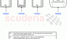 Transmission & Power Steering Oil (Halewood (UK))