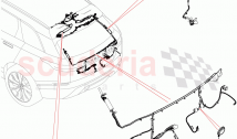 Electrical Wiring - Body And Rear (Tailgate)