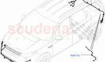 Electrical Wiring - Body And Rear (Bumper) (Changsu (China)) ((V) FROMFG000001)