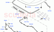 Hood And Related Parts