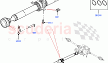 Drive Shaft - Rear Axle Drive (Nitra Plant Build, Propshaft) ((V) FROMM2000001)