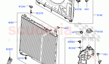 Radiator/Coolant Overflow Container (Nitra Plant Build) (3.0L AJ20P6 Petrol High)