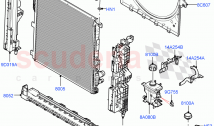 Radiator/Coolant Overflow Container (Main Unit) (4.4 V8 Turbo Petrol (NC10))