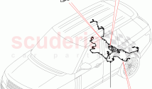 Electrical Wiring - Chassis