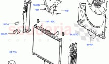 Radiator/Coolant Overflow Container (3.6L V8 32V DOHC EFi Diesel Lion) ((V) FROMAA&hellip;