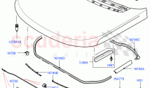 Hood And Related Parts