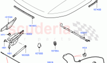 Hood And Related Parts (Halewood (UK)) ((V) TOKH999999)