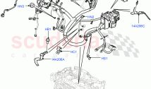 Electrical Wiring - Engine And Dash (Engine) (2.2L CR DI 16V Diesel, Halewood (UK)&hellip;