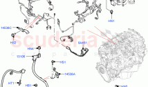 Engine Harness (Nitra Plant Build) (3.0L AJ20D6 Diesel High, Less Electric Engine &hellip;
