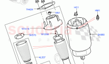 Rear Springs And Shock Absorbers