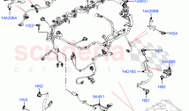 Engine Harness (LHD) (3.0L AJ20P6 Petrol High) ((V) FROMMA000001)