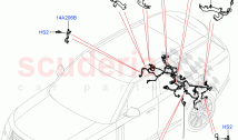 Electrical Wiring - Chassis