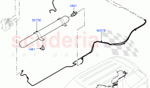 Air Suspension Compressor And Lines (Air Suspension Lines) ((V) TODA999999)