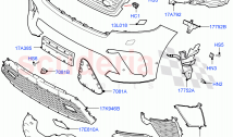 Radiator Grille And Front Bumper (5.0L P AJ133 DOHC CDA S/C Enhanced, Limited Pack&hellip;