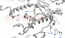 Electrical Wiring - Engine And Dash (Engine) (5.0L OHC SGDI SC V8 Petrol - AJ133) &hellip;