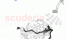 Evaporative Emission (Solihull Plant Build) (2.0L I4 High DOHC AJ200 Petrol, 2.0L &hellip;