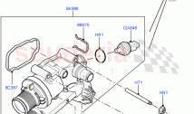Thermostat/Housing & Related Parts (2.2L DOHC EFI TC DW12, 2.2L CR DI 16V Diesel)