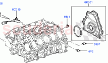 Engine/Block, Heads & Manifolds