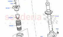 Front Suspension Struts And Springs (With Standard Duty Coil Spring Susp)