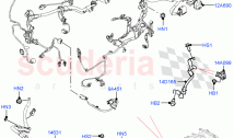 Engine Harness (3.0L AJ20D6 Diesel High, Less Electric Engine Battery) ((V) FROMMA&hellip;