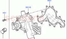 Water Pump (Cologne V6 4.0 EFI (SOHC)) ((V) FROMAA000001)