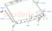 Back Window Glass ((V) FROMAA000001)
