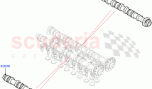 Camshaft (2.0L AJ21D4 Diesel Mid, Halewood (UK)) ((V) FROMMH000001)