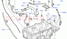 Oil Pan/Oil Level Indicator (3.6L V8 32V DOHC EFi Diesel Lion) ((V) FROMAA000001)