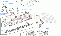Inlet Manifold (Lion Diesel 2.7 V6 (140KW)) ((V) TO9A999999)