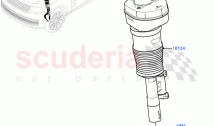 Front Suspension Struts And Springs
