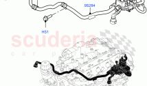 Evaporative Emission (2.0L I4 High DOHC AJ200 Petrol, 2.0L I4 Mid DOHC AJ200 Petro&hellip;