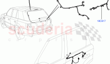 Electrical Wiring - Body And Rear (Front And Rear Doors) ((V) FROMCA000001)