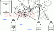 Transmission & Power Steering Oil ((V) FROMAA000001)