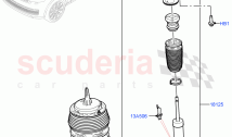 Rear Springs And Shock Absorbers
