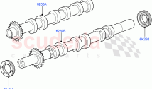 Timing Gear, Camshafts & Drive