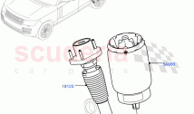Rear Springs And Shock Absorbers (Armoured) ((V) FROMEA000001)