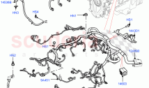 Engine Harness (2.0L I4 High DOHC AJ200 Petrol)