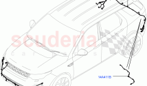 Electrical Wiring - Body And Rear (Bumper) (Halewood (UK))