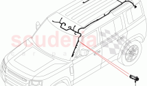 Electrical Wiring - Body And Rear (Roof) ((V) TON2999999)