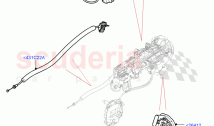 Rear Door Lock Controls
