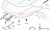 Hood And Related Parts (Halewood (UK))