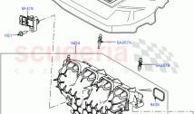 Inlet Manifold (2.0L 16V TIVCT T/C Gen2 Petrol) ((V) FROMEH000001)