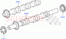Timing Gear, Camshafts & Drive